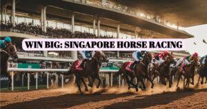 How To Bet On Horse Racing In Singapore